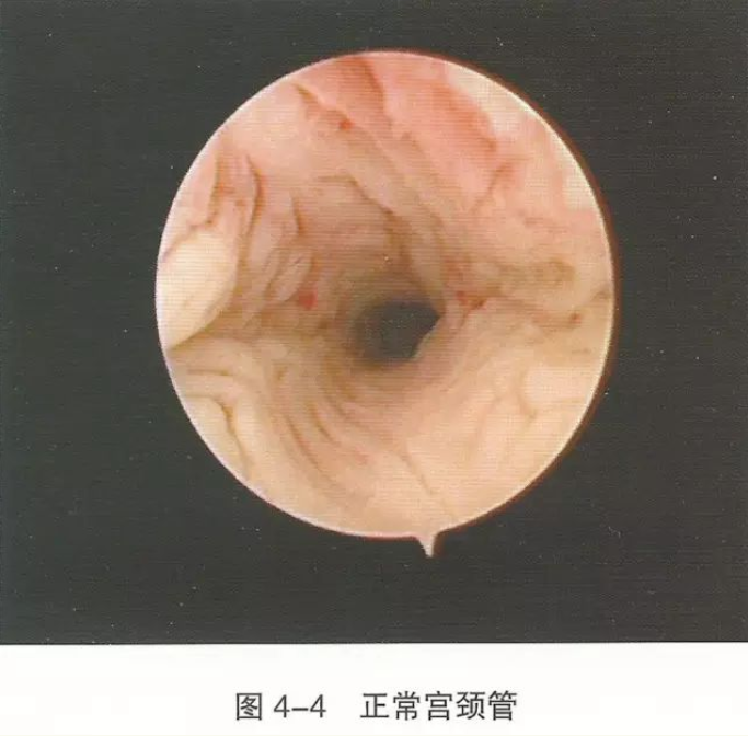 1650443941145200.png image.png
