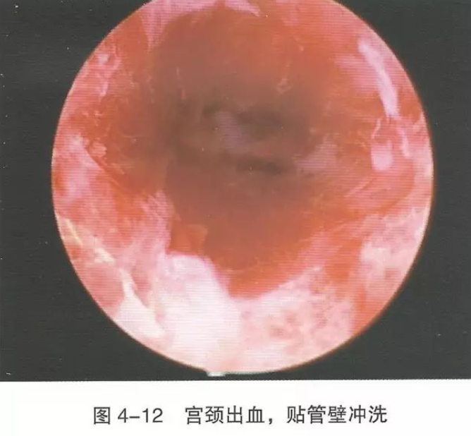 1650444070598986.png image.png