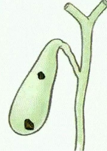 1650445899191413.png image.png