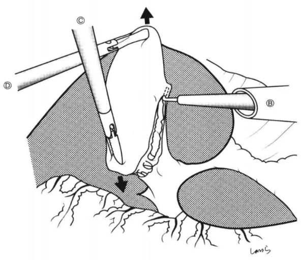 1650446077167458.png image.png