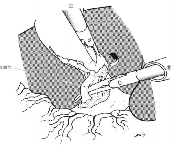 1650446227321428.png image.png