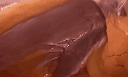 1651216833130724.png image.png
