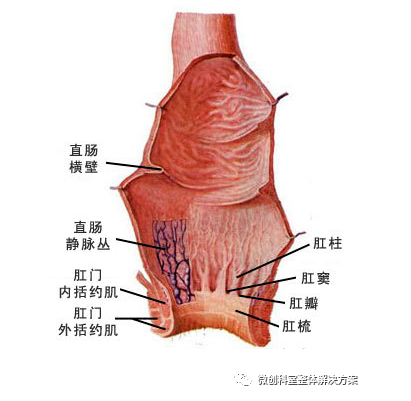 1651732955166892.png image.png