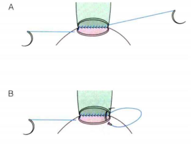1680500121935834.png image.png