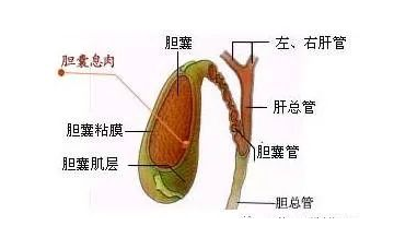 1683177335175139.png image.png