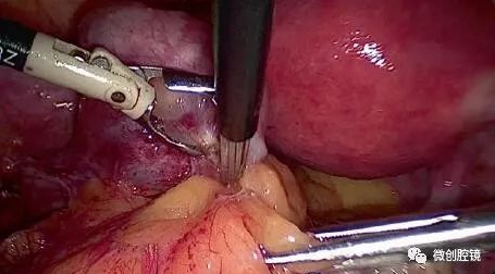 1693811991389017.png image.png