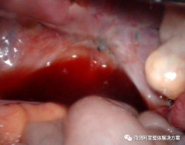 1693812034991496.png image.png